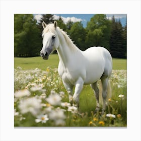 White Horse In A Field Canvas Print