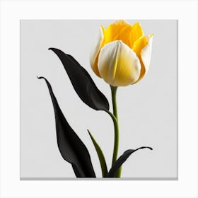 Tulip myluckycharm Canvas Print