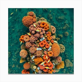 Coral Reef43 1 Canvas Print