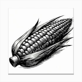 Corn 7 Canvas Print