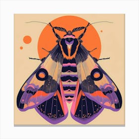 Moth illustration 6 Canvas Print