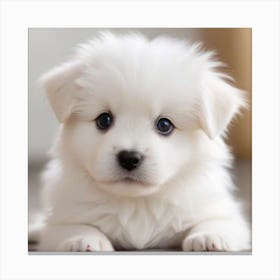White Puppy With Blue Eyes Canvas Print