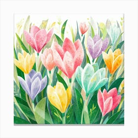 Watercolor Tulips Canvas Print