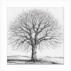 Bare Tree 2 Canvas Print