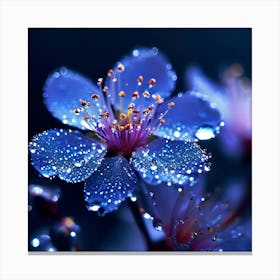 Blue Flower With Water Droplets 1 Canvas Print