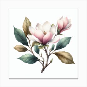 Magnolia 2 Canvas Print