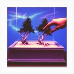 bonsai 6 Canvas Print