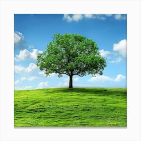 Lone Tree On Green Grass Canvas Print