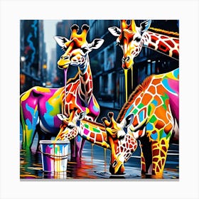 Giraffes Canvas Print