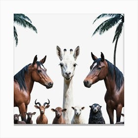 Giraffes And Palm Trees Canvas Print