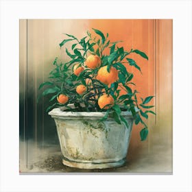 Oranges In A Pot 11 Canvas Print