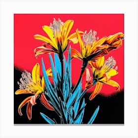 Andy Warhol Style Pop Art Flowers Kangaroo Paw 3 Square Canvas Print
