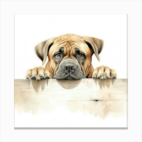 Boxer Dog 7 Canvas Print