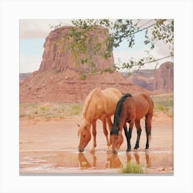 Desert Wild Horses Canvas Print