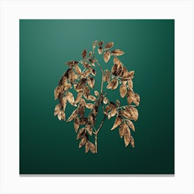 Gold Botanical Jujube on Dark Spring Green Canvas Print