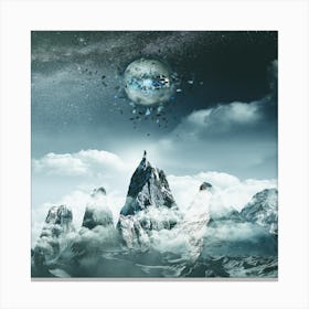 Symbiosis Canvas Print