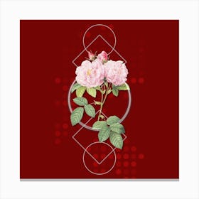 Vintage Italian Damask Rose Botanical with Geometric Line Motif and Dot Pattern n.0219 Canvas Print