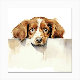 Setter Irish Red 2 Canvas Print