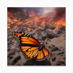 Monarch Butterfly On The Lava Canvas Print