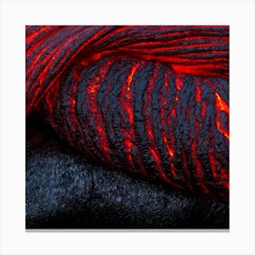 Fire art Canvas Print