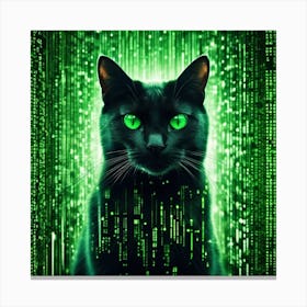 matrix rain cat Canvas Print