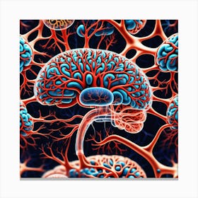 Brain And Nervous System 24 Canvas Print