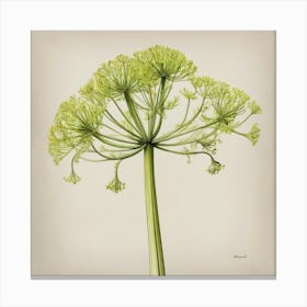 Ivy fennel Canvas Print flower plants painting art print Canvas Print