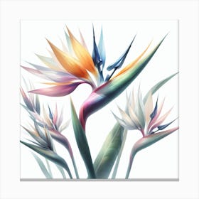 Flower of Bird of Paradise 3 Canvas Print