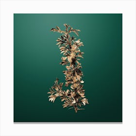 Gold Botanical Caragana Spinosa on Dark Spring Green Canvas Print
