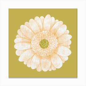 Gerber Daisy Canvas Print