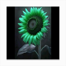 Green Sunflower Canvas Print