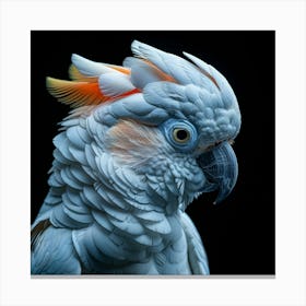 Cockatoo Portrait Canvas Print