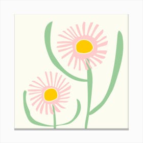 Pink Daisies 2 Canvas Print