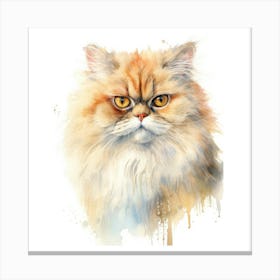 Persian Cat Portrait Canvas Print