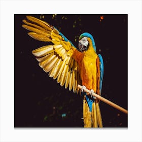 Parrot Canvas Print