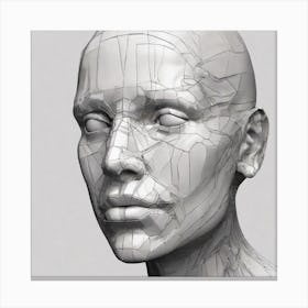 3d Model Of A Human Head 6 Canvas Print