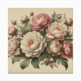 Peonies 8 Canvas Print