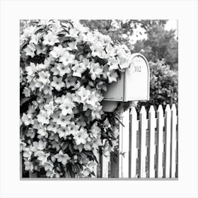 Black And White Flowering Mailbox Canvas Print