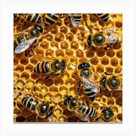 Bees On Honeycomb 3 Canvas Print