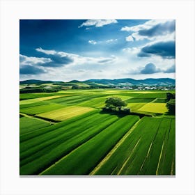 Green Farm Nature Field Landscape Countryside Agriculture Grass Gold Grow Japan Air Plan (6) Canvas Print