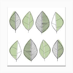 Leaves Sage Green Square Canvas Print