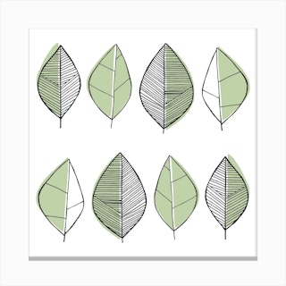 Leaves Sage Green Square Canvas Print