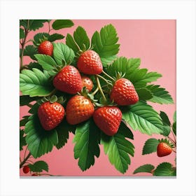 Strawberry Branch On Pink Background Canvas Print