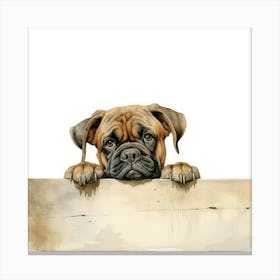 Boxer Dog 17 Canvas Print