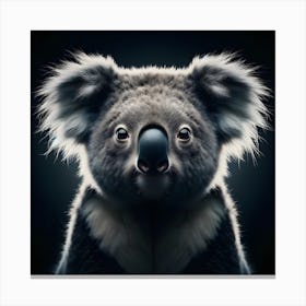 Koala portrait on black background Canvas Print