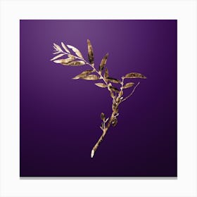 Gold Botanical Jujube on Royal Purple n.3536 Canvas Print