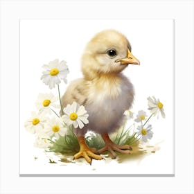 Little Chick With Daisies Canvas Print