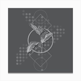 Vintage Lobster Claws Botanical with Line Motif and Dot Pattern in Ghost Gray n.0133 Canvas Print