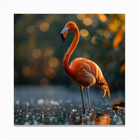 Flamingo In Water Canvas Print