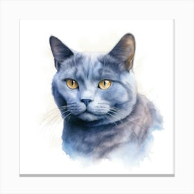 Chartreux Cat Portrait 2 Canvas Print